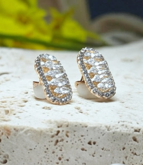 Elegance Redefined: Discover Timeless Earrings